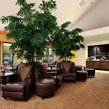 Hilton Stockton-2