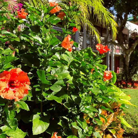 Collins Hotel Naples-3