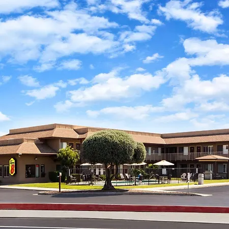 Super 8 By Wyndham Lindsay Olive Tree-2