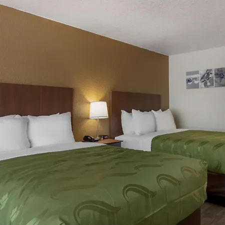 Quality Inn Saint Petersburg North-Tampa Bay-2