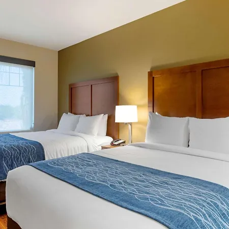 Comfort Inn & Suites Near Ontario Airport-2