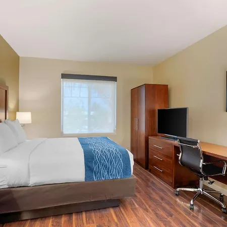 Comfort Inn & Suites Near Ontario Airport-3