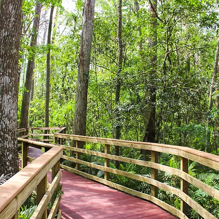 Parkway International Resort By Coolvacay-2
