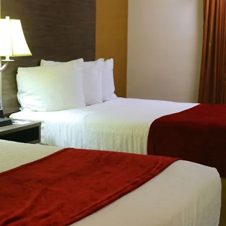 Best Western Galleria Inn & Suites-2