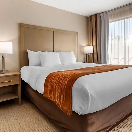 Comfort Inn & Suites Farmington - Victor-2