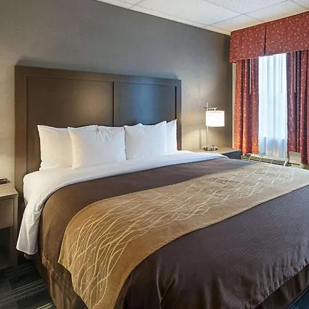 Comfort Inn Ballston-3