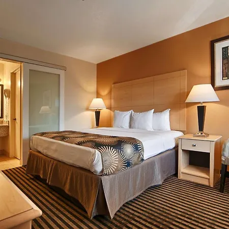 Best Western Palm Court Inn-3