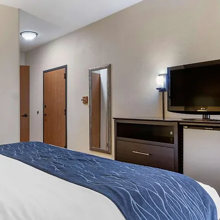 Comfort Inn Wings Stadium-3