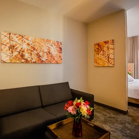 Springhill Suites By Marriott Tarrytown Westchester County-3