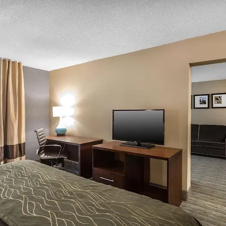 Comfort Inn Bay City - Riverfront-2