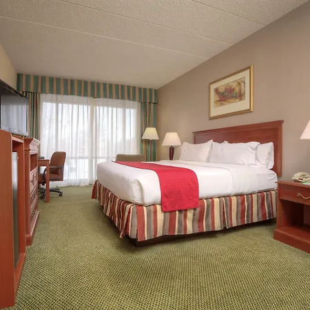 Wyndham Garden Southgate-3