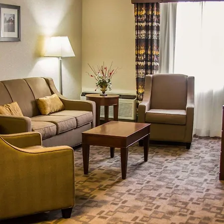 Comfort Inn Birch Run - Frankenmuth-2