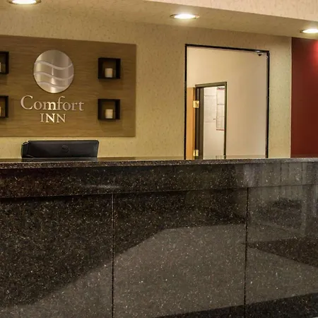 Comfort Inn Birch Run - Frankenmuth-3