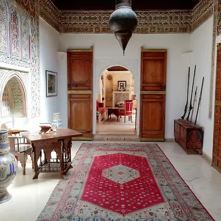Riad Ben Youssef-2