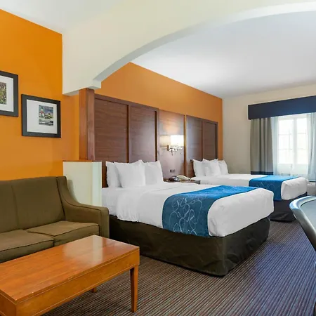 Comfort Suites Stevensville - St Joseph-2