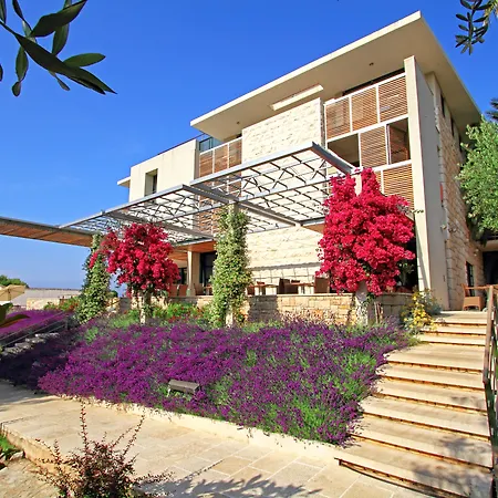 Aminess Vival Velaris Resort-3