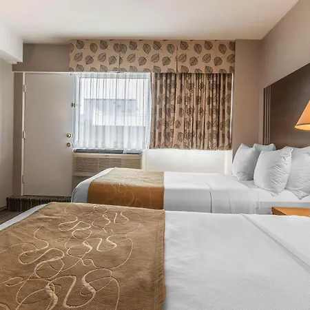 Comfort Suites Downtown-3