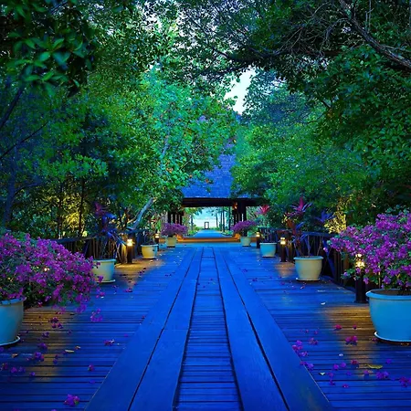 Rebak Island Resort & Marina, Langkawi 大自然 野生动物与美食爱好者的天堂-3