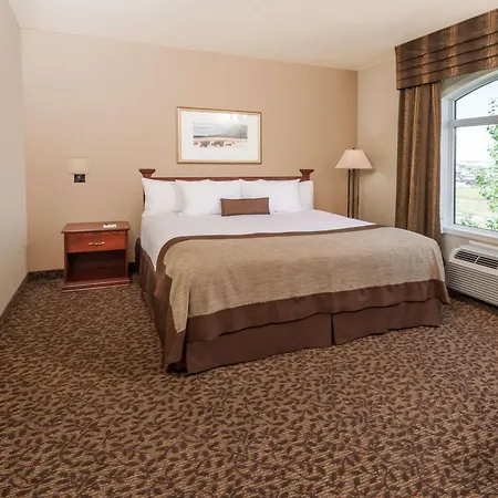 Wingate By Wyndham - Edmonton West-2