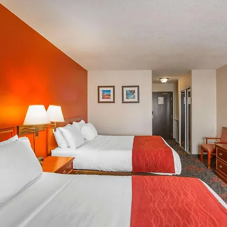Comfort Inn & Suites University-2