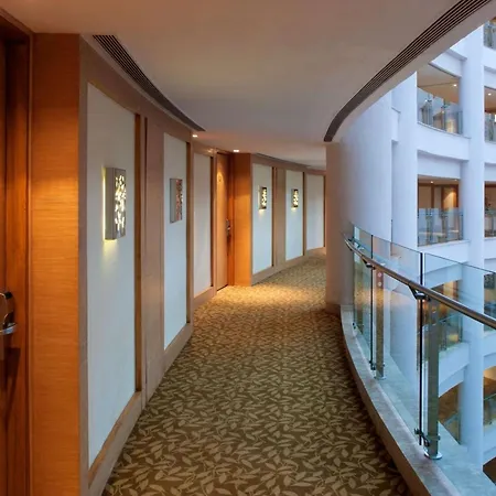 Radisson Blu Hotel New Delhi Dwarka-2