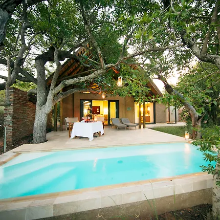 Kapama Southern Camp-2