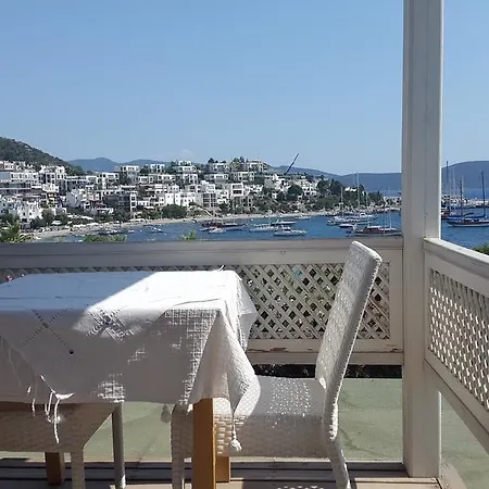 Pasha Motel-3