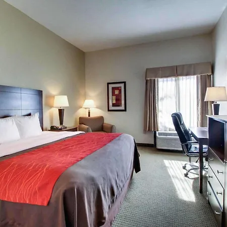 Comfort Inn & Suites Moss Point Pascagoula-3