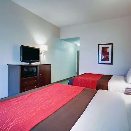 Comfort Inn & Suites Moss Point Pascagoula-2