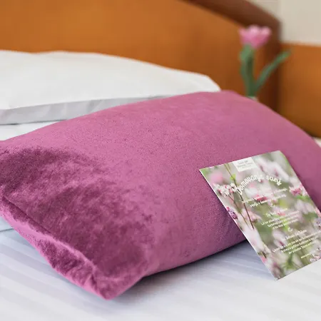 Hotel Ajda Depandance Prekmurska Vas - Terme 3000 - Sava Hotels & Resorts-2
