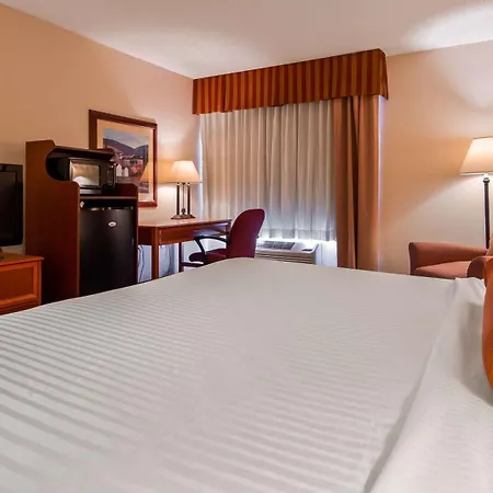 Best Western Marion Hotel-3