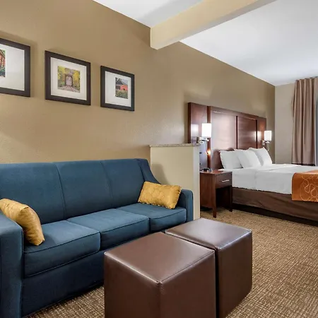 Comfort Suites Auburn Near I-69-2