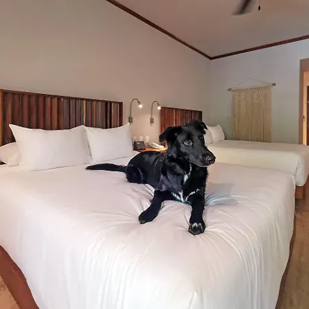 Aluna Resort Tulum-3
