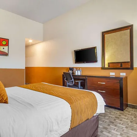 Comfort Inn Chihuahua-3