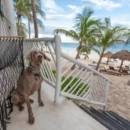 Los Amigos Beach Hotel Boutique-3