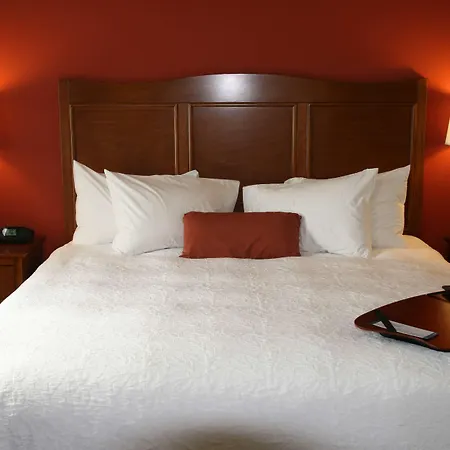 Hampton Inn & Suites Bastrop-2