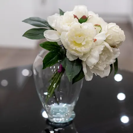 20 Hertford Street - Mayfair Apartments-2