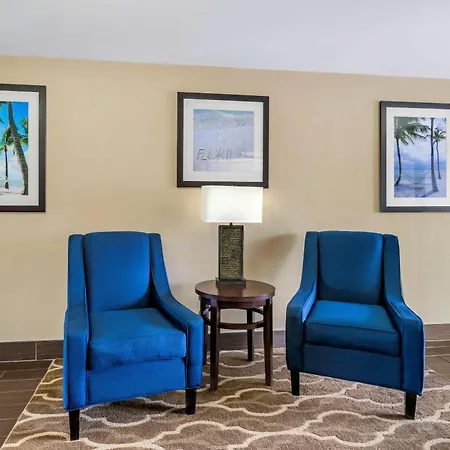 Comfort Inn & Suites St Pete - Clearwater International Airport-3