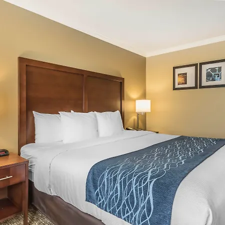 Comfort Inn Sunnyvale - Silicon Valley-2