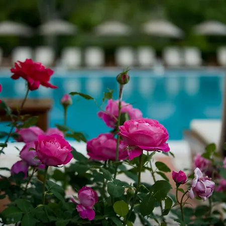 Dionysos Village Hotel Marmaris-2