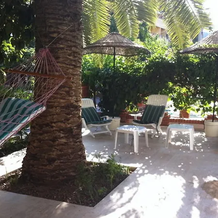 Hotel Green Palm-3
