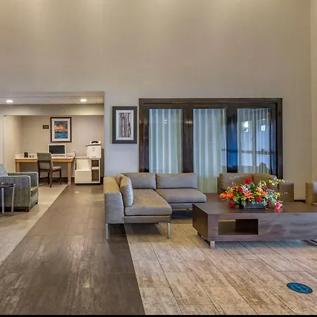 Comfort Suites Alpharetta-Roswell - Atlanta Area-2