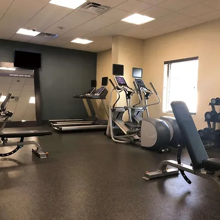 Hampton Inn & Suites Tampa Northwest/Oldsmar-3