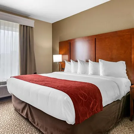 Comfort Suites Florence I-95-3