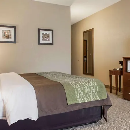 Comfort Inn Edinburg South-3