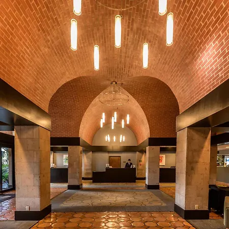 Doubletree By Hilton Mcallen-3