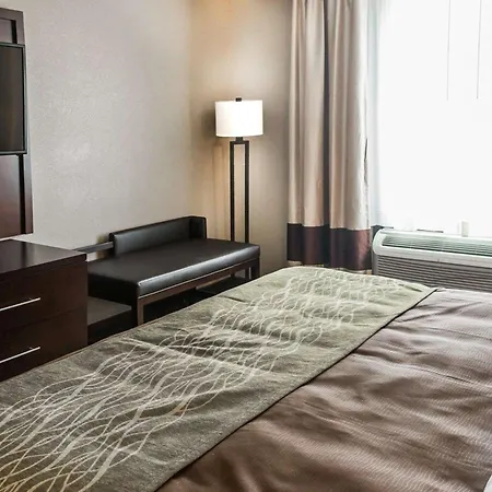 Comfort Inn & Suites Pharr - Mcallen-2