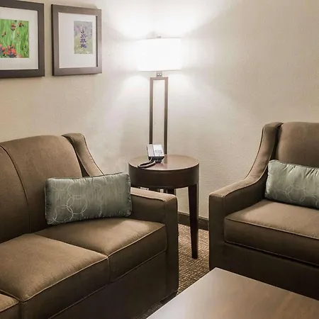 Comfort Inn & Suites Pharr - Mcallen-2