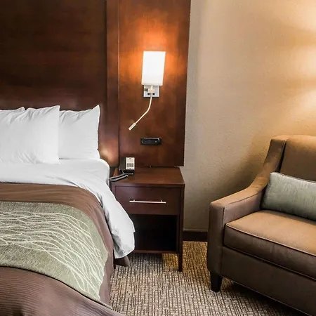 Comfort Inn & Suites Pharr - Mcallen-3