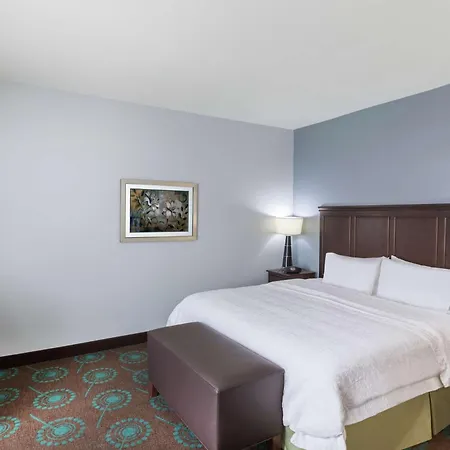 Hampton Inn & Suites Shreveport/Bossier City At Airline Drive-2